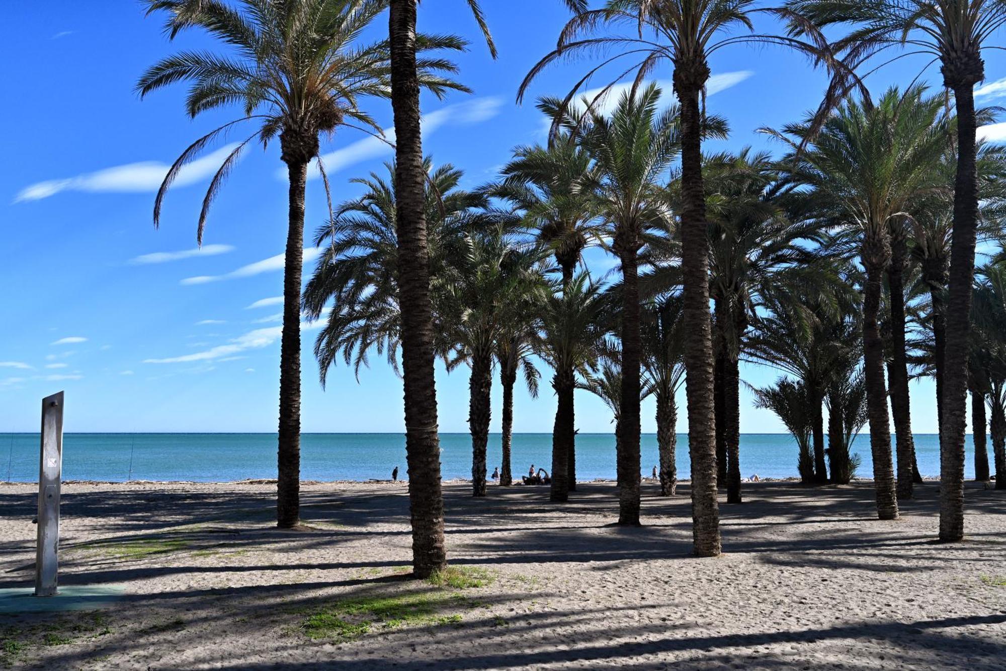Love Rent4 Malaga Alamar Torremolinos Ngoại thất bức ảnh